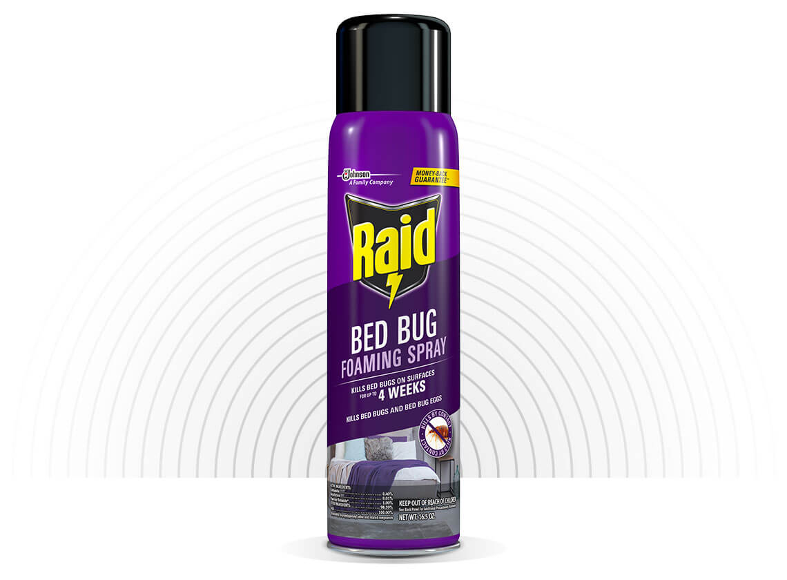 raid bed bug spray on mattress
